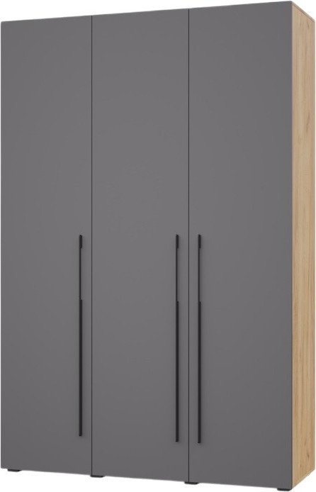 Шкаф распашной Modern С35 (золотой дуб/графит)