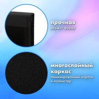 Папка-портфель BRAUBERG Husky 271450 с органайзером (черный)