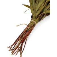 Банный веник Добропаровъ Эвкалиптовый 683771