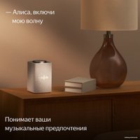 Умная колонка Яндекс Станция Макс (с хабом умного дома Zigbee, бежевый) в Бресте