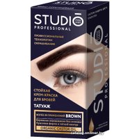 Краска для бровей Studio Professional с эффектом татуажа (темно-коричневый)