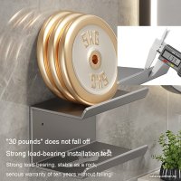 Держатель для бумажных полотенец Saniteco TBD0604303601C