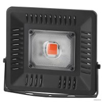 Прожектор ЭРА FITO-50W-LED Bluered