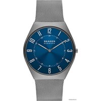 Наручные часы Skagen Grenen SKW6829 в Витебске