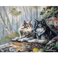 Картина по номерам Белоснежка Пара 182-AB в Лиде