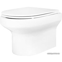 Унитаз подвесной Jacob Delafon Elite EDX114RU-00 в Бобруйске