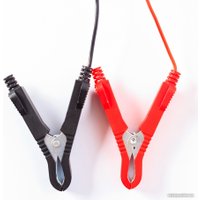 Зарядное устройство RedVerg RD-IC23N