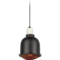 Светильник ЭРА FITO-E27-SHADE Б0053286 в Бресте