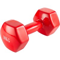 Гантель VictoryFit VF-DV100 10 кг