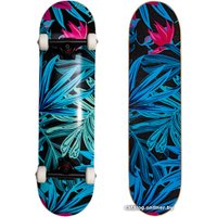 Скейтборд Z53 Tropic 31.1"