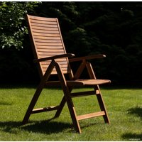 Кресло Fieldmann FDZN 4101-T