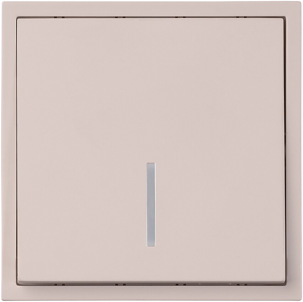 Выключатель SmartBuy Капелла SBE-09i-10-SW1-1