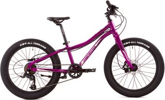 Детский велосипед Merida Matts J20+ Pro 2022 (пурпурный)