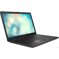 Ноутбук HP 250 G7 202V3EA