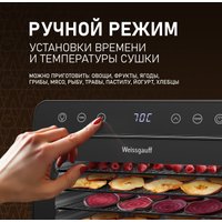 Сушилка для овощей и фруктов Weissgauff WDH 108 Digital Dry