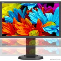 Монитор NEC MultiSync E224Wi Black/Black