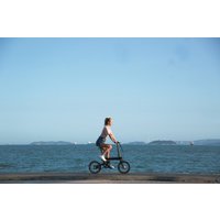 Электровелосипед Xiaomi MiJia QiCycle (черный)