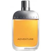 Туалетная вода Davidoff Adventure EdT (100 мл)