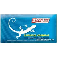 3TON Салфетки для зеркал и стекол 15 шт TX-201