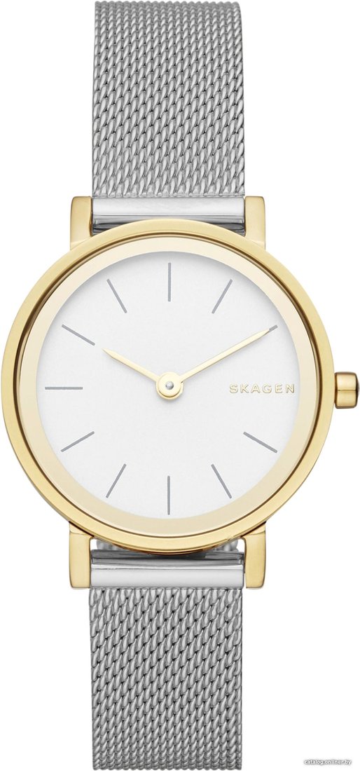 Наручные часы Skagen SKW2445