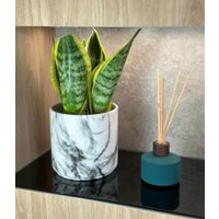 Кашпо Polnix 02.751.13