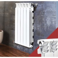 Биметаллический радиатор Fondital Alustal Bimetal Super 500/100 (10 секций) в Гомеле