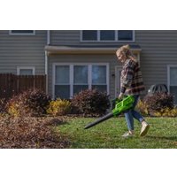 Колесная воздуходувка Greenworks GD60BVII 2409307 (без АКБ)