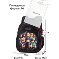 Школьный рюкзак SkyName R1-093 + брелок мячик