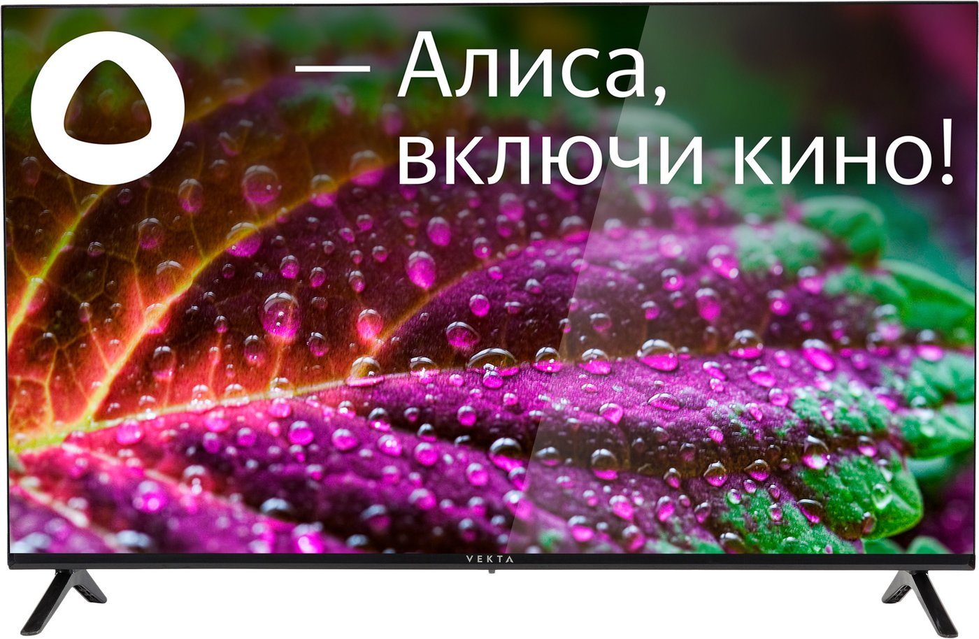 

Телевизор Vekta LD-32SR4861BS