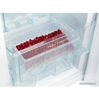 Холодильник Snaige RF32SM-S0002F