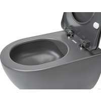 Унитаз подвесной Deante Peonia CDE DZPW (без сиденья)