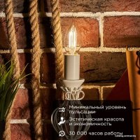 Светодиодная лампочка Rexant Свеча на ветру CN37 7.5Вт E14 600Лм 4000K нейтральный свет 604-102