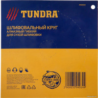 Шлифовальный круг Tundra 3594934 в Бобруйске