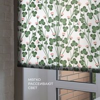 Рулонные шторы Franc Gardiner Print Клевер полевой, день 55x160 9403217841 в Орше