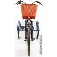 Электровелосипед GreenCamel Trike-24 R24 (250W 48V 15Ah, синий)