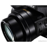 Фотоаппарат Panasonic Lumix DMC-FZ300