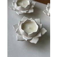 Ароматическая свеча Gentle Art Белый Лотос аромат Миндаль и цветы вишни в Бресте