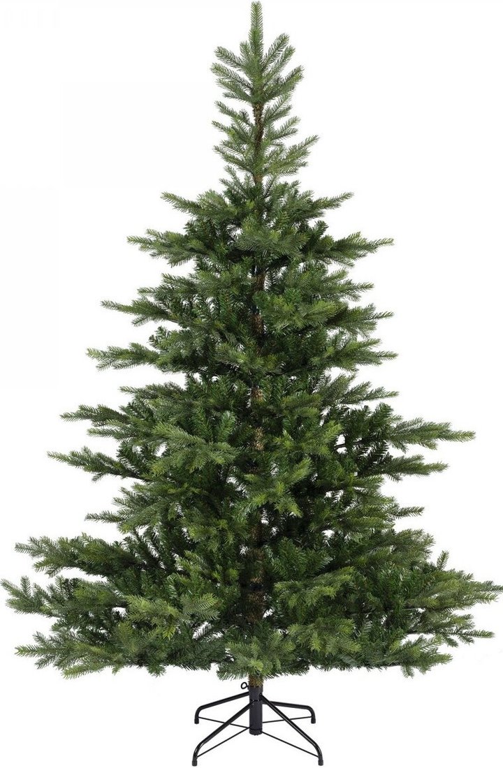 Ель Everlands Грандис 4.5 м