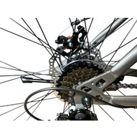 Велосипед Gekkon RS29 р.21 2026 (серый/белый)