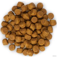 Сухой корм для собак Hill's Science Plan Puppy Medium для щенков средних пород для поддержания сильного иммунитета, с ягненком и рисом 12 кг