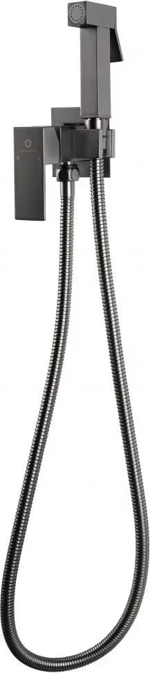 

Гигиенический душ Filarete Fing FL101 (графит)