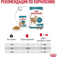 Консервированный корм для кошек Royal Canin Ageing 11+ in Jelly кусочки в желе 12x85 г
