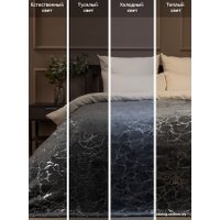 Плед Tex Republic Shick Мрамор лазер 150x200 см 93429 (серебристый/серый)