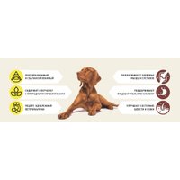 Сухой корм для собак Деревенские лакомства Холистик Премьер. Говядина с рисом 2 кг