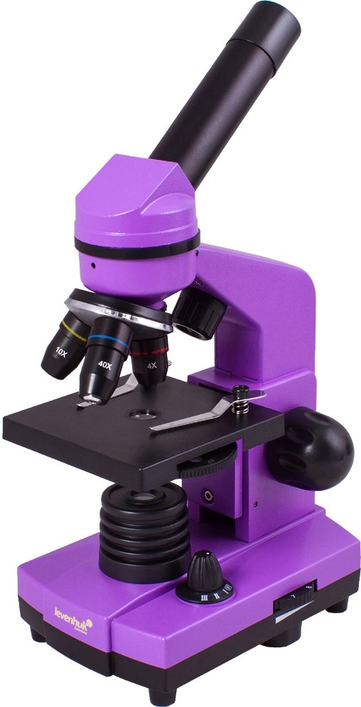 

Детский микроскоп Levenhuk Rainbow 2L (аметист) 69036