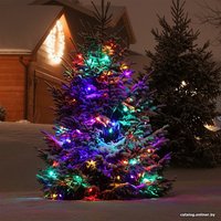 Новогодняя гирлянда Евросвет 400-101 10 м a044074 (мульти с эффектом мерцания)