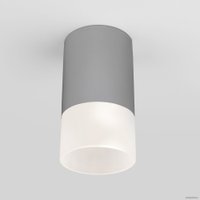 Уличный накладной светильник Elektrostandard Light 2106 35139/H (серый)