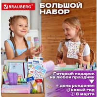 Набор школьника BRAUBERG Подарочный 880952 (63 предмета)