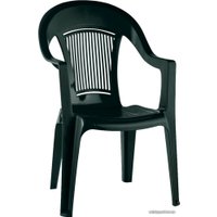 Стул Элластик-Пласт Элластик 41x55x91 (темно-зеленый)