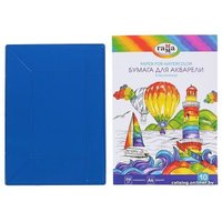 Набор школьника Гамма Классический 2405191 (13 предметов)